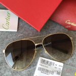 2017 New Cartier Vintage Sunglasses AAA Copy - Men Gift (7)