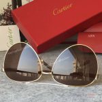 2017 New Cartier Vintage Sunglasses AAA Copy - Men Gift (8)