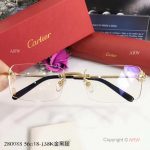2017 New Knockoff Cartier Sunglasses stainless steel Frame - Fashion Cartier Sunglasses (2)