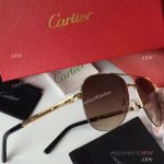 2017 Replica Cartier Sunglasses - Exact Replica (3)