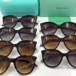 AAA Replica TF Brown Sunglasses - Fashion Sunglasses for Ladies (10)