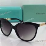 AAA Replica TF Brown Sunglasses - Fashion Sunglasses for Ladies (3)