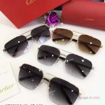 Copy Cartier double-bar Sunglasses - Silver Frame - AAA Replica Mens Gift (6)